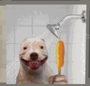 Wetcorndog.png